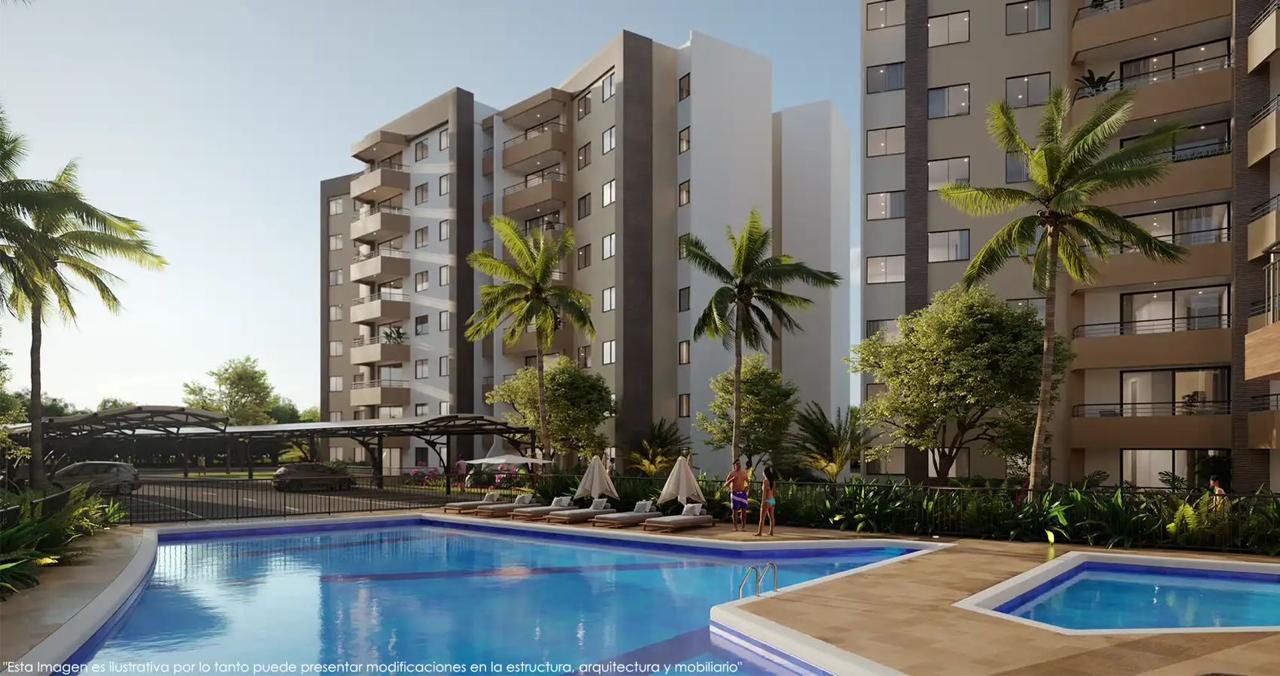 Proyecto Avellana
